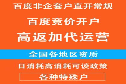 SEM代运营机构成功案例：优化策略与效果分析